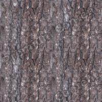 Seamless Bark 0009